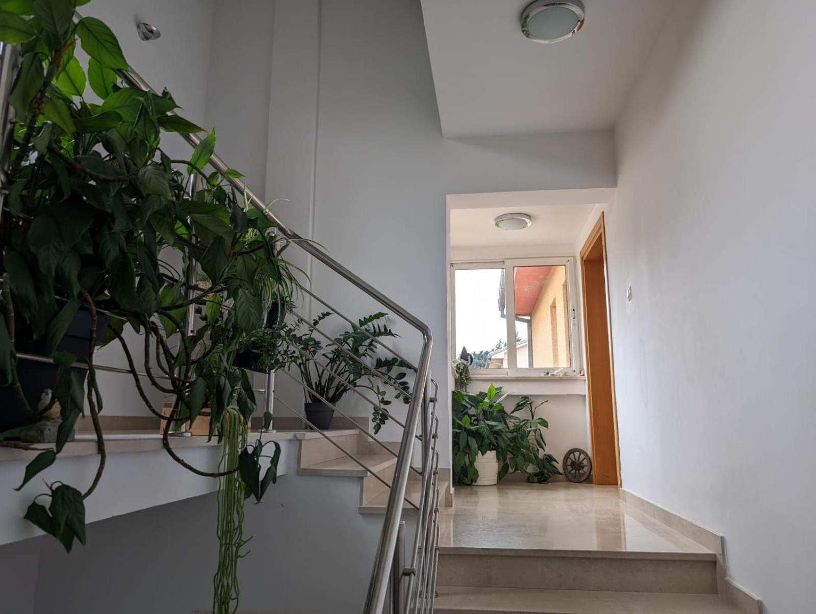 Vesna Rooms Crikvenica Luaran gambar